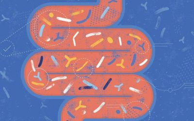 Microbiote et santé mentale
